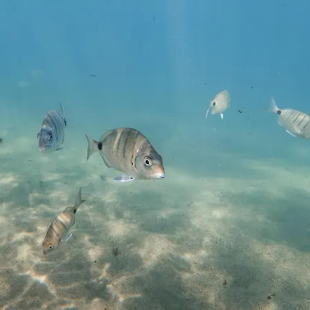 Chica By Canariasgetaway