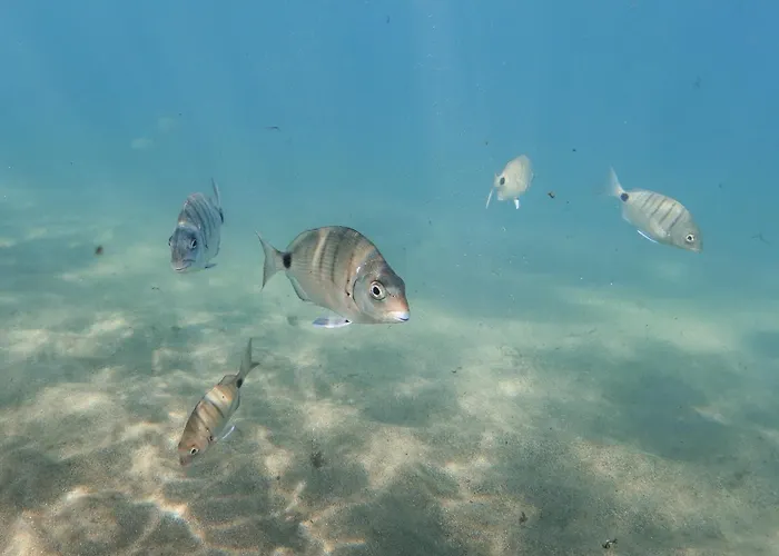 Appartement Chica By Canariasgetaway